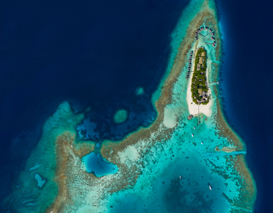 portfolio image template